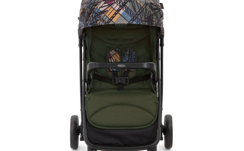 Carucior Graco Breaze Lite 2 Couture Fern
